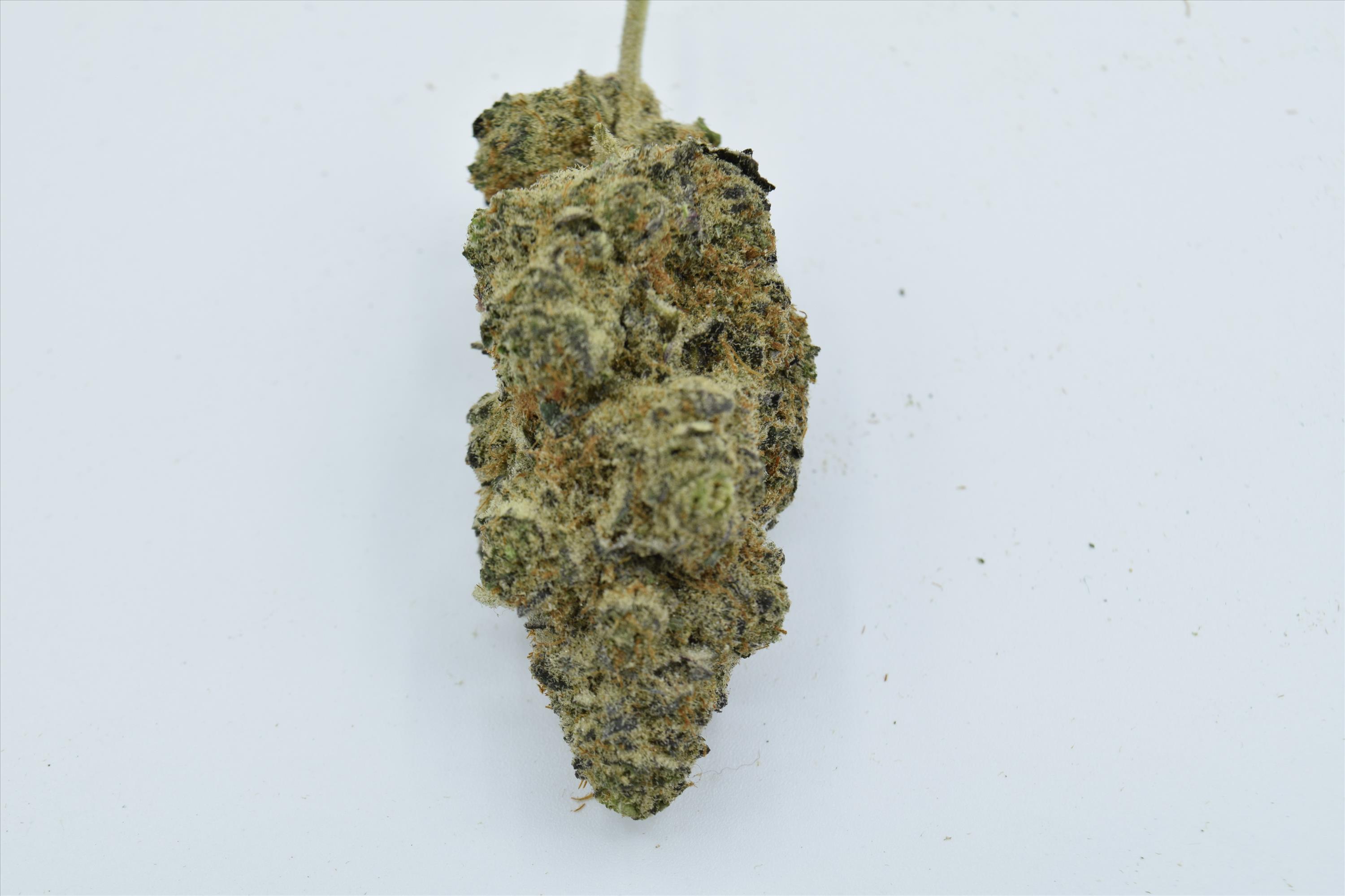 Super Jack (Sativa) - SALE 1 OZ $130